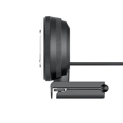 Het Webcamera van de computerconferentie, PC-Stroomnok met Microfoon Ring Light