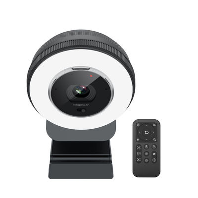 Gebouwd in 2pcs Hoge Definitiemicrofoon 78 Graad Webcam met USB-Connectiviteit