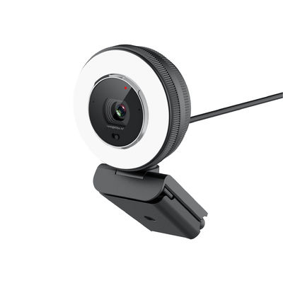 Gebouwd in 2pcs Hoge Definitiemicrofoon 78 Graad Webcam met USB-Connectiviteit