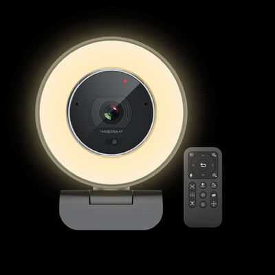 Automatische Hoge Definitie Webcam met Gebouwd in 2pcs Microfoon30fps 60fps Framesnelheid