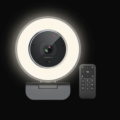 Automatische Hoge Definitie Webcam met Gebouwd in 2pcs Microfoon30fps 60fps Framesnelheid